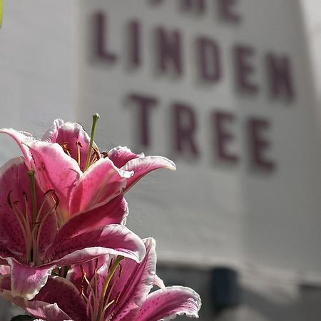 Linden Tree Bed & Breakfast Gloucester Exterior photo