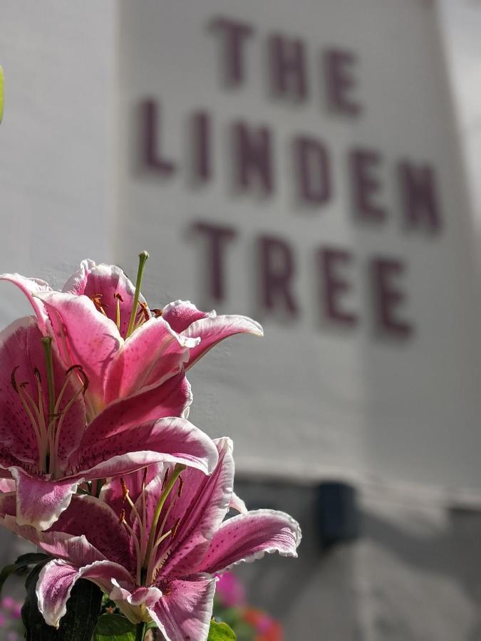 Linden Tree Bed & Breakfast Gloucester Exterior photo